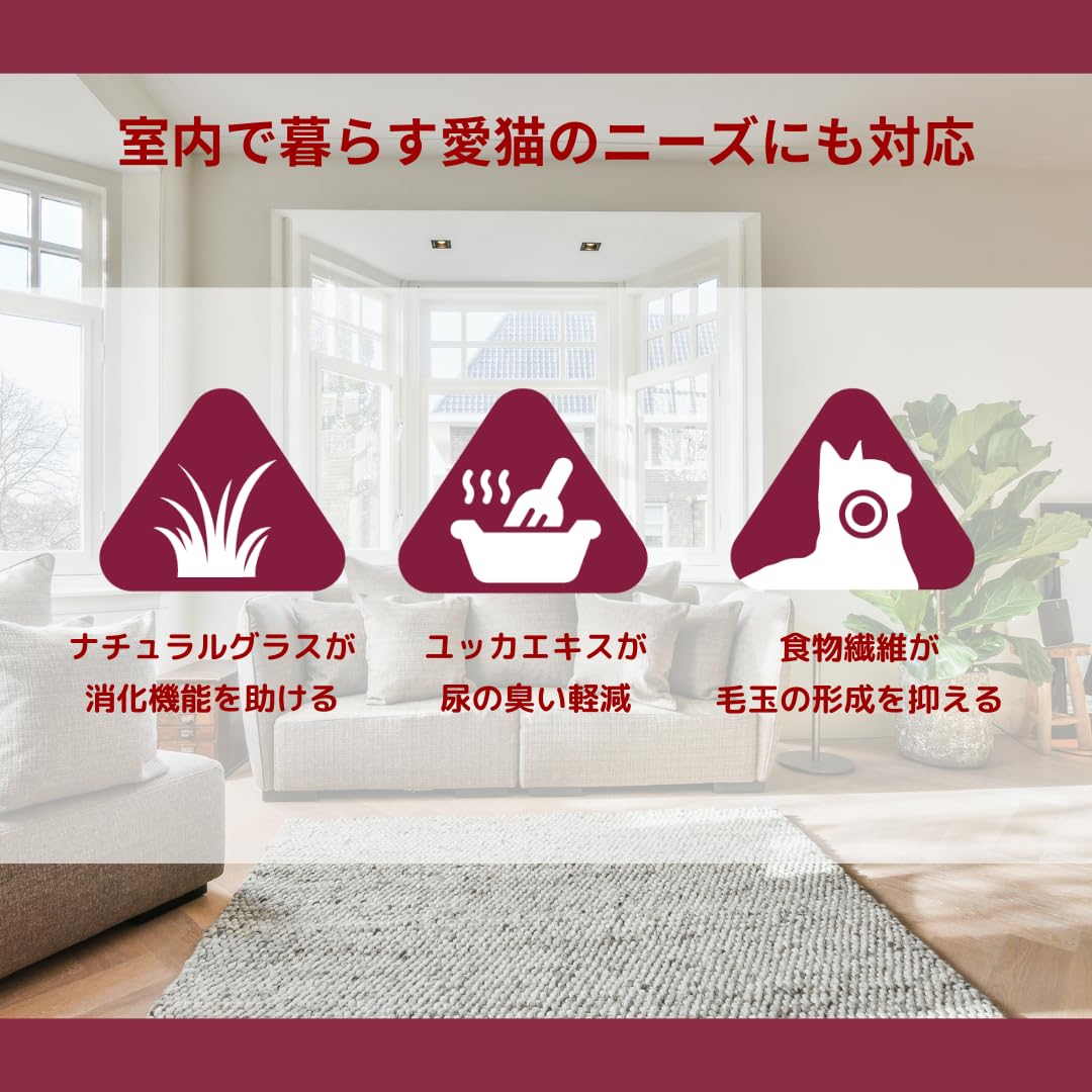 キャットフード Akuri Amazon | iq(アイキュー) +猫ドライまぐろ 2.5kg | iq
